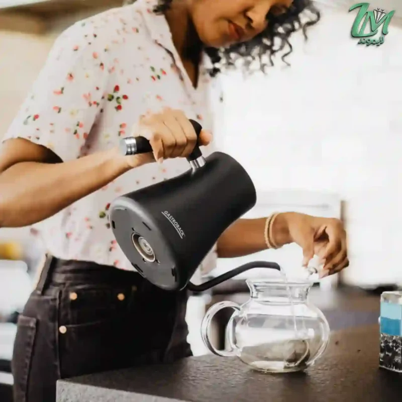 کتری برقی گاستروبک مدل GASTROBACK 42329 -2