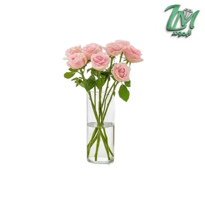 گلدان استوانه پاشاباغچه کد 43767